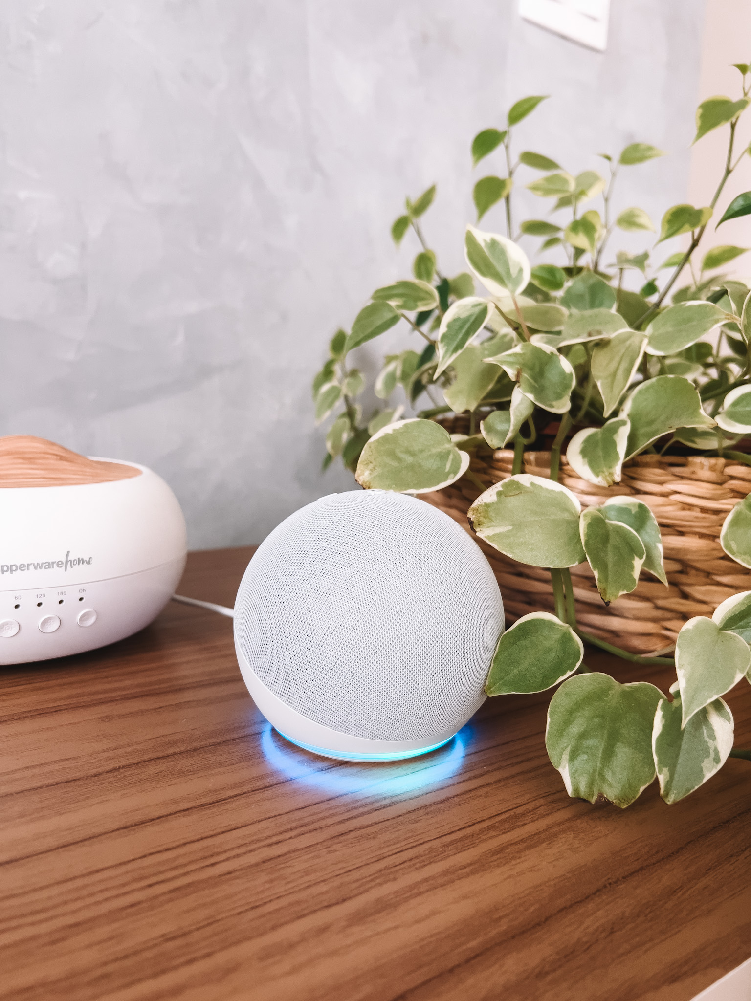 alexa echo dot 5 geração branca