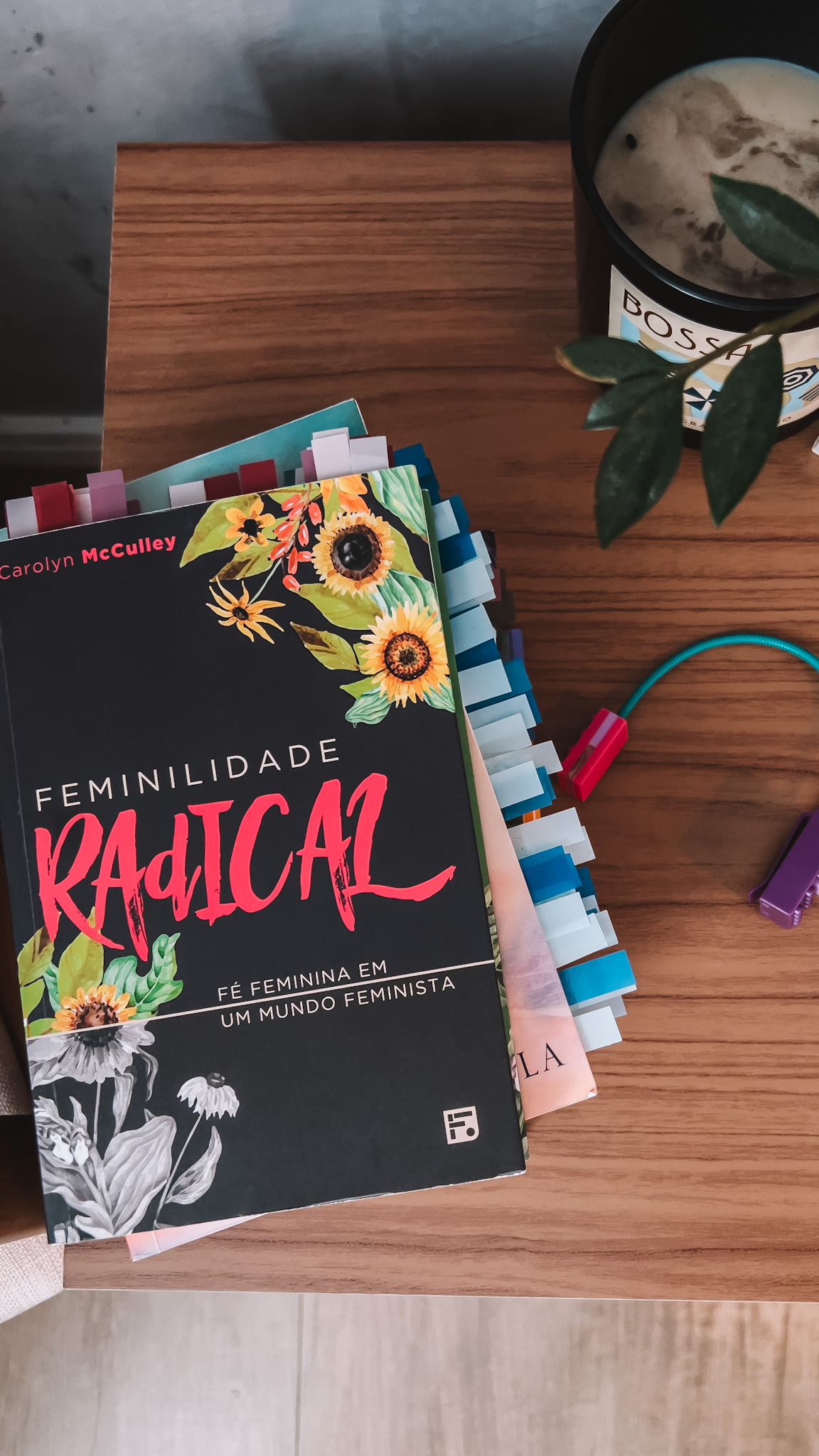 feminilidade radical Carolyn mcculley